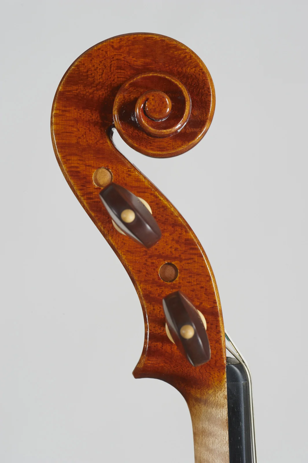 Instruments — Daniele Scolari